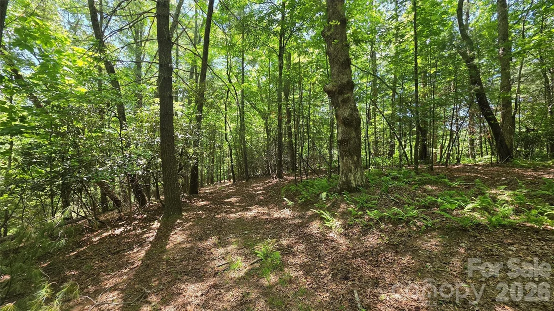 Photo of 262 Wingfield Way