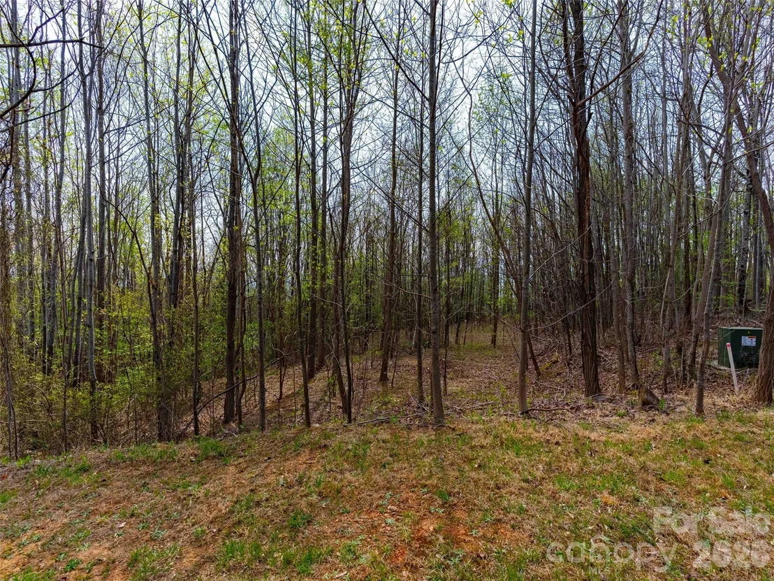 Photo of Unit 196 at Lot 196 Cherry Hill