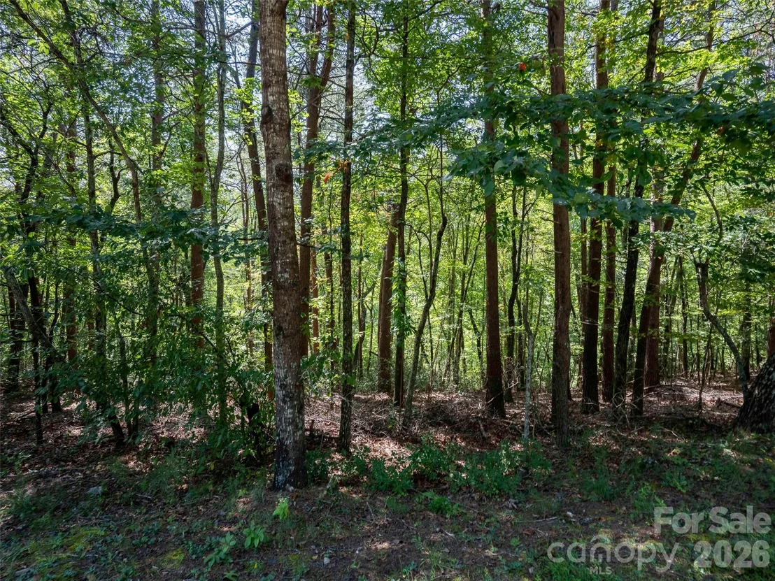 Photo of Lot 2010 Deep Gap Farm None W