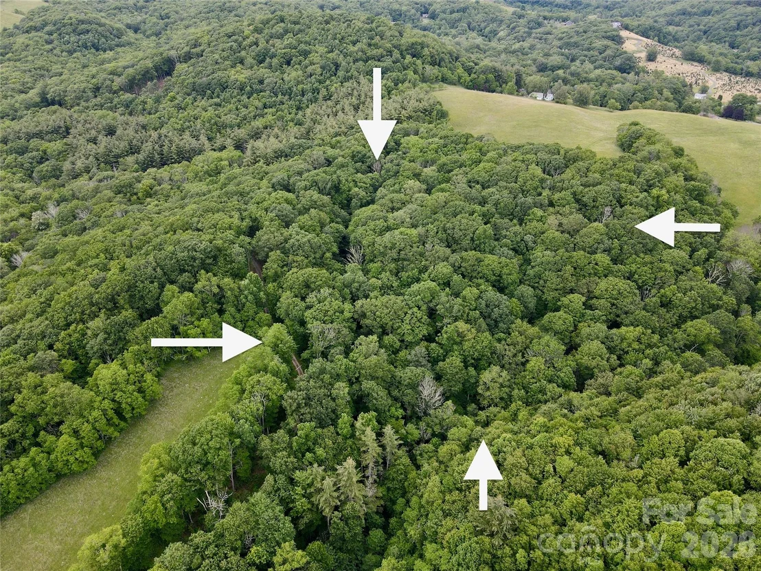 Photo of 149 Painter Road