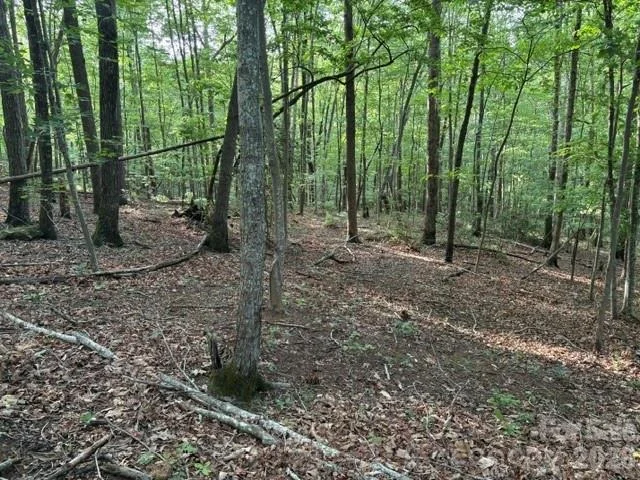 Photo of 00 Cardinal Circle