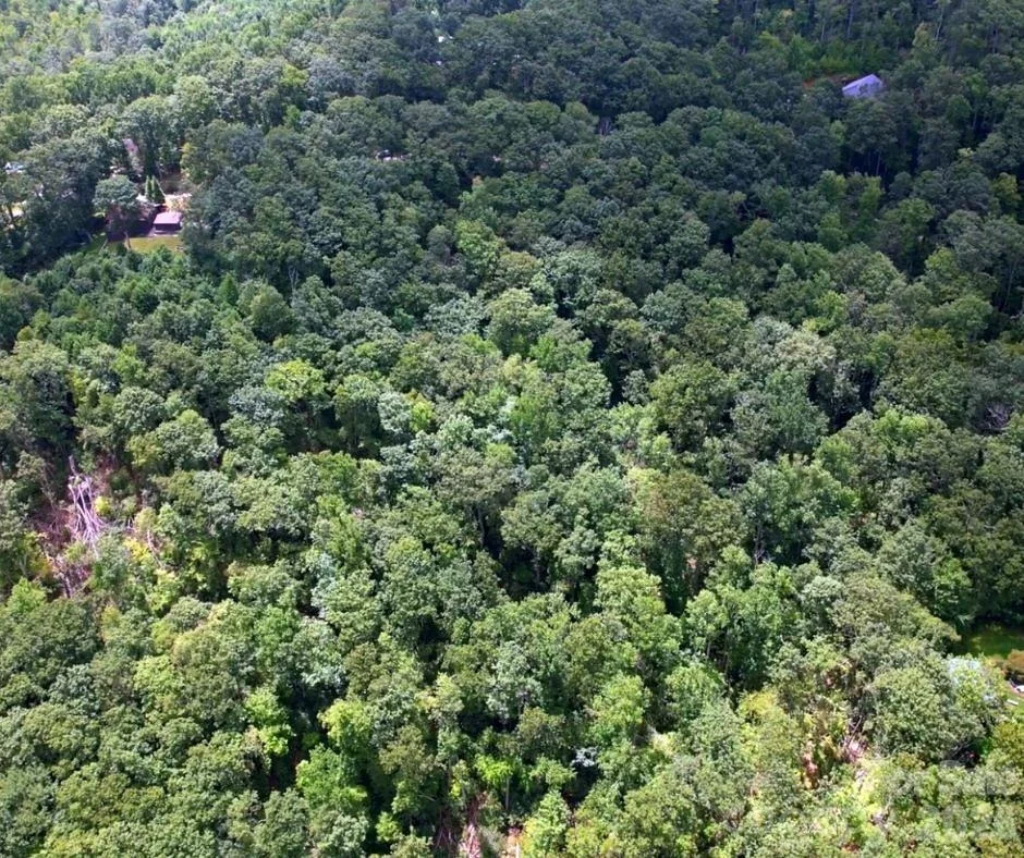 Photo of 13 Old Mill Road