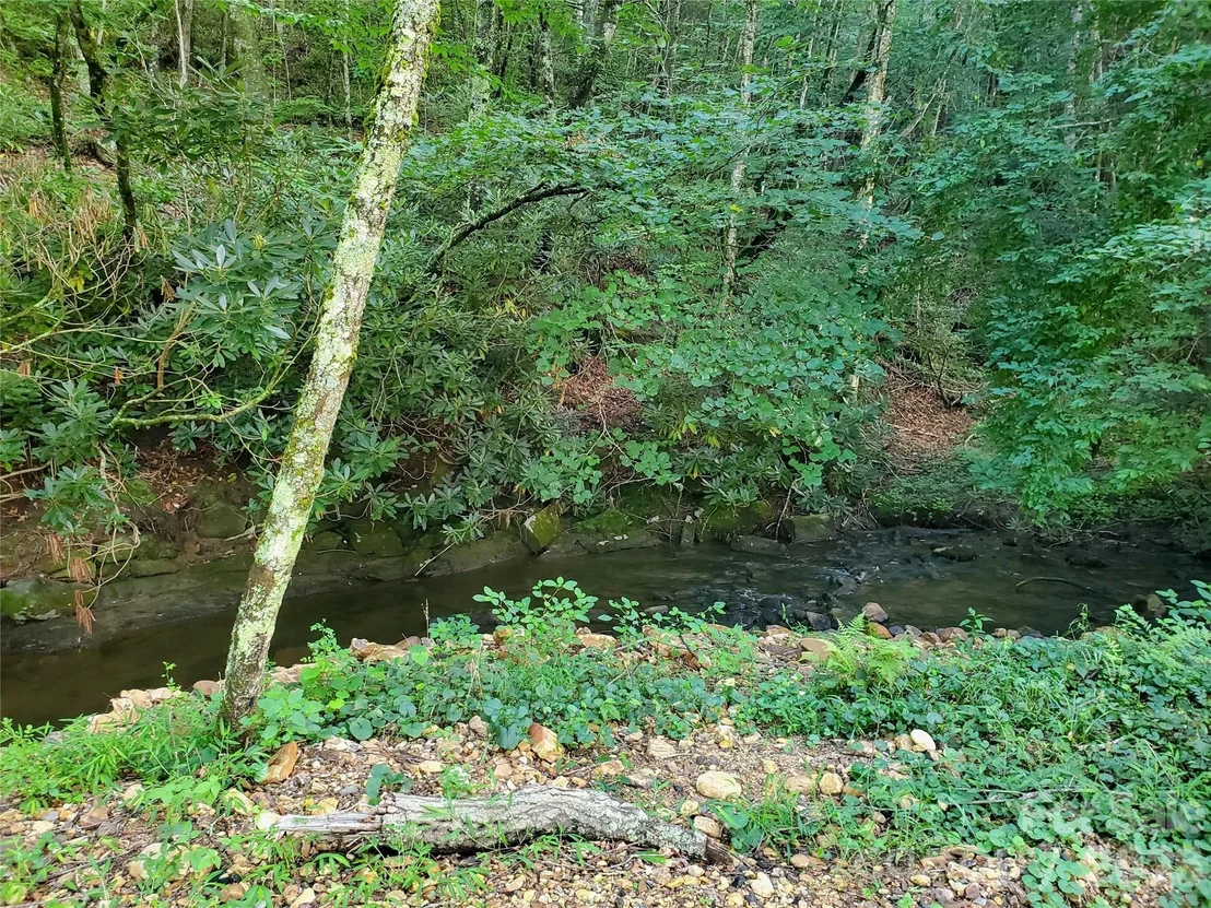 Photo of 000 Nettle Knob Road