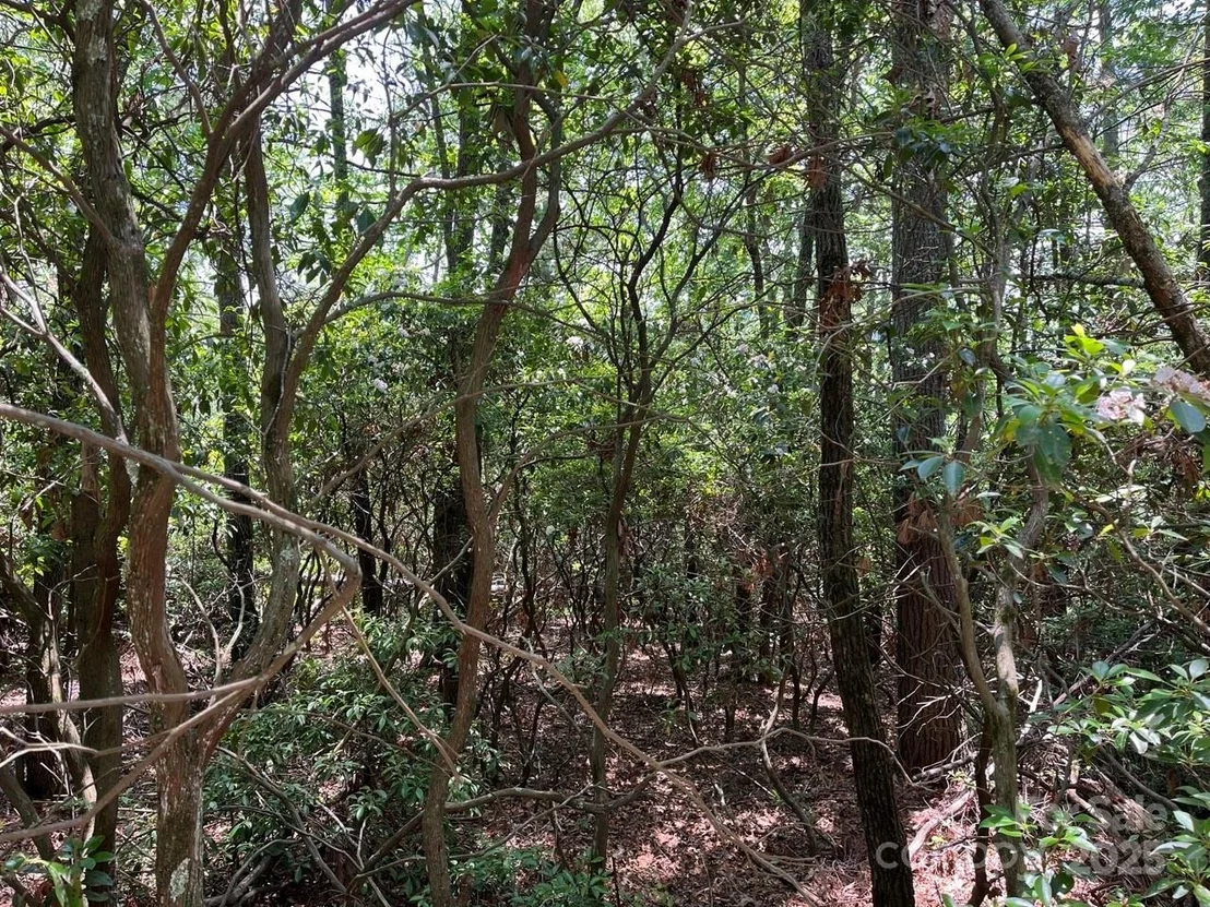 Photo of 0000 Humpback Mountain Road