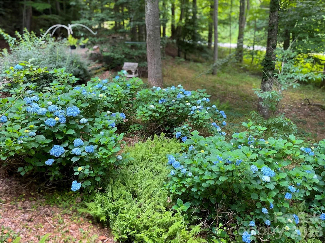 Photo of 2218 Mountain Page Road