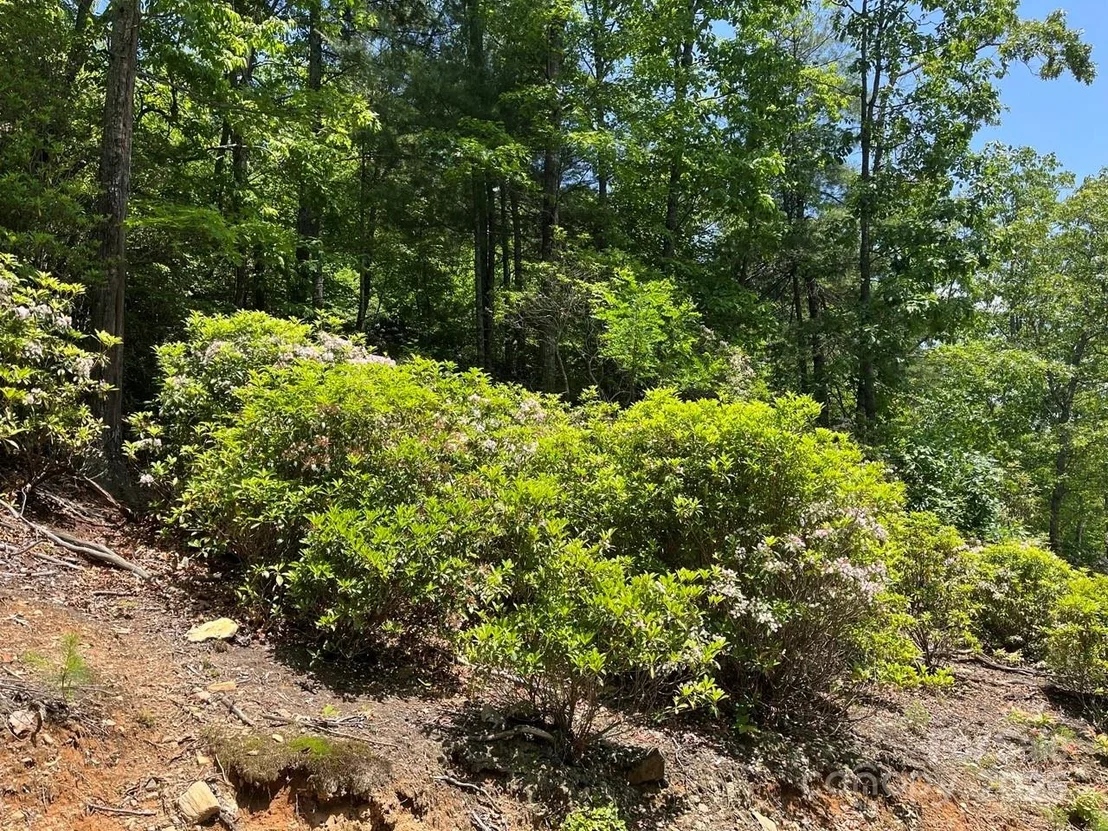 Photo of 0000 Humpback Mountain Road