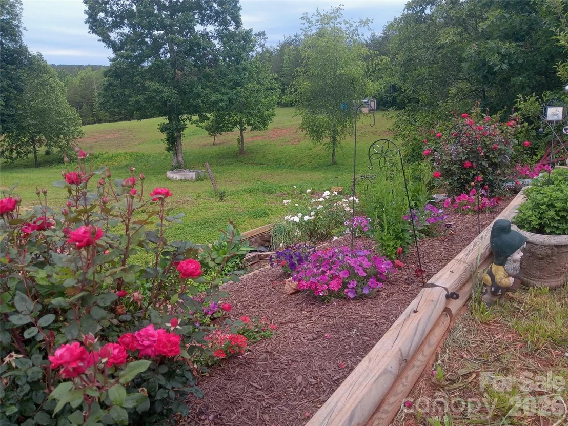 Photo of 303 Terry Road