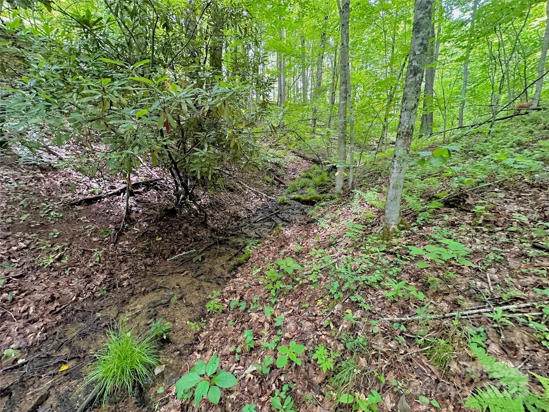 Photo of 149 Painter Road