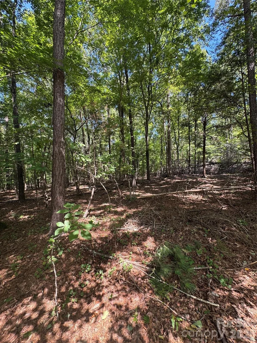 Photo of 2344 Rockholt Drive