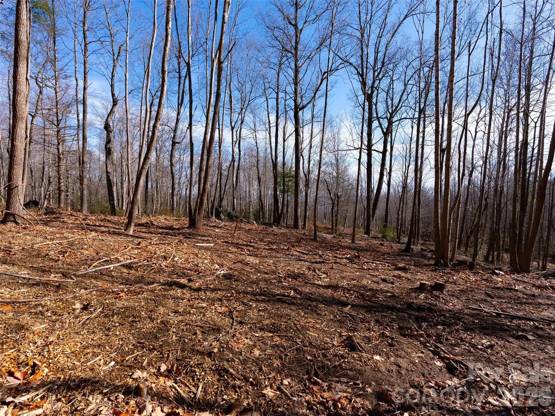 Photo of 220 Chesterfield Drive