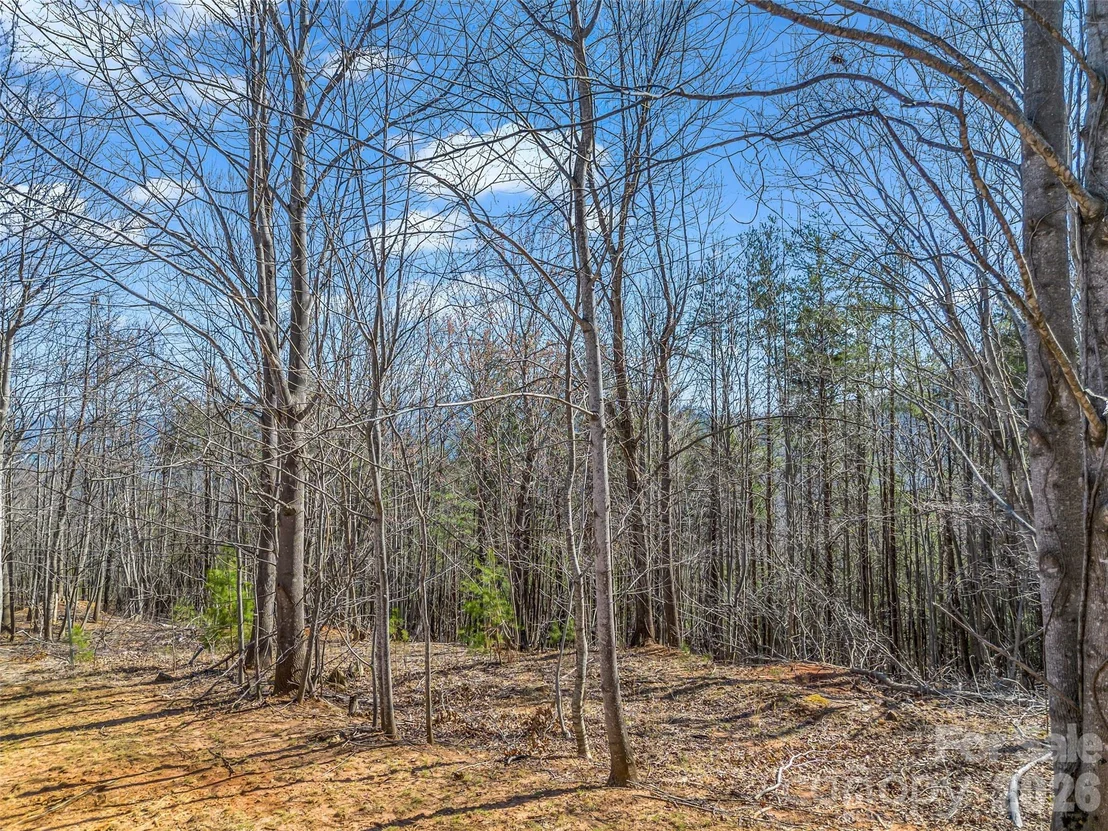 Photo of 190 Cherry Hill None