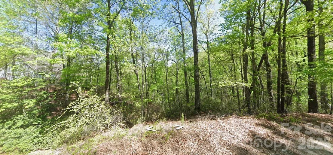 Photo of 0 Buzzards Place