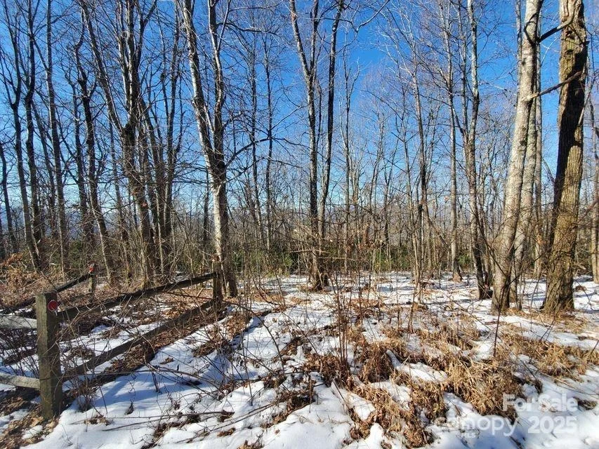 Photo of TBD Henredon Road