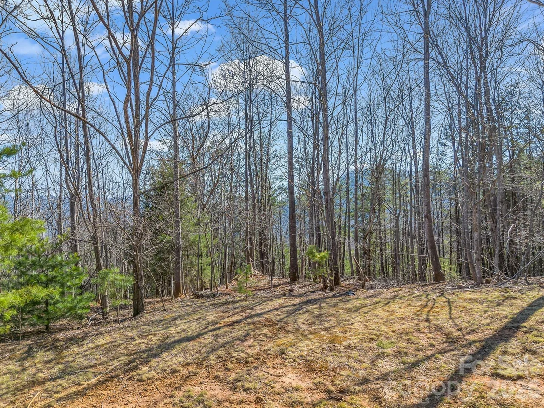Photo of 190 Cherry Hill None