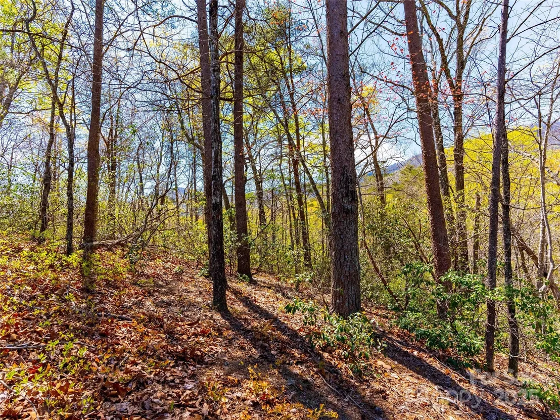 Photo of 107 Deep Gap Road E