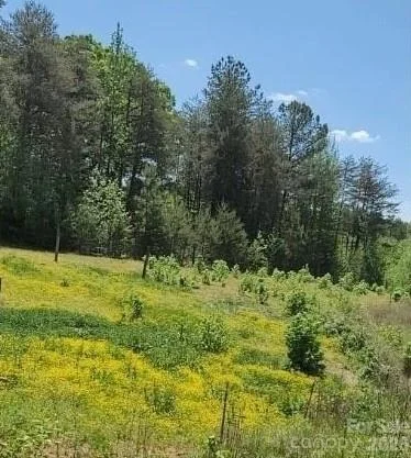 Photo of 2195 Otis Dellinger Road