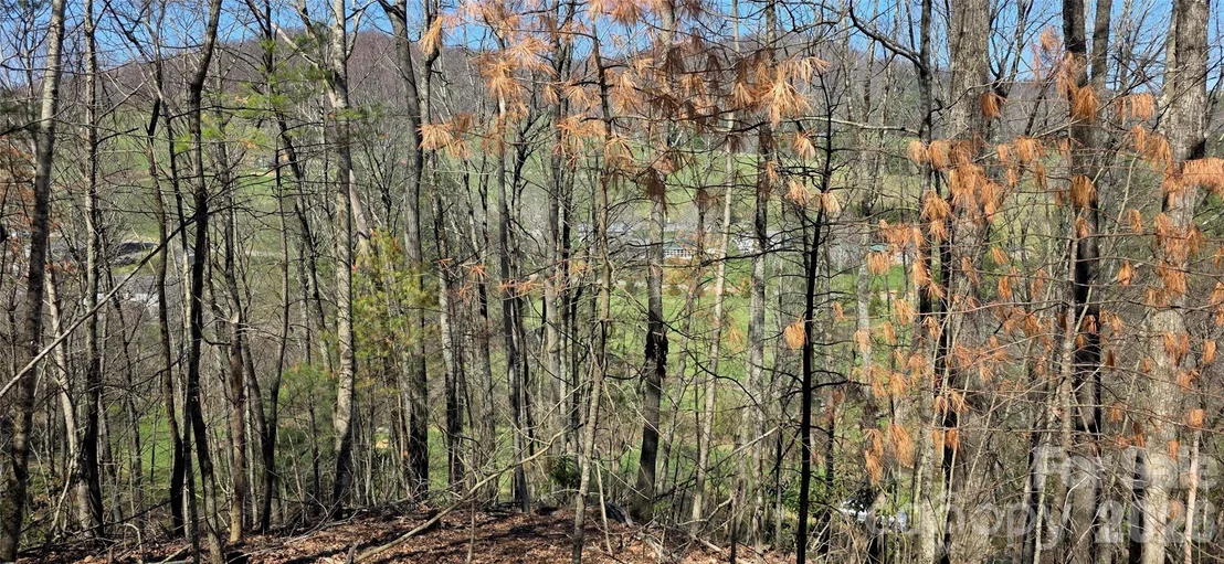 Photo of 000 Nettle Knob Road