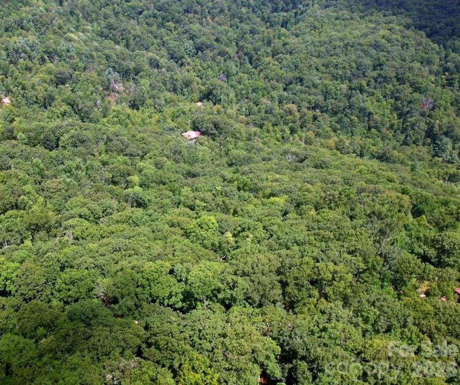 Photo of 13 Old Mill Road