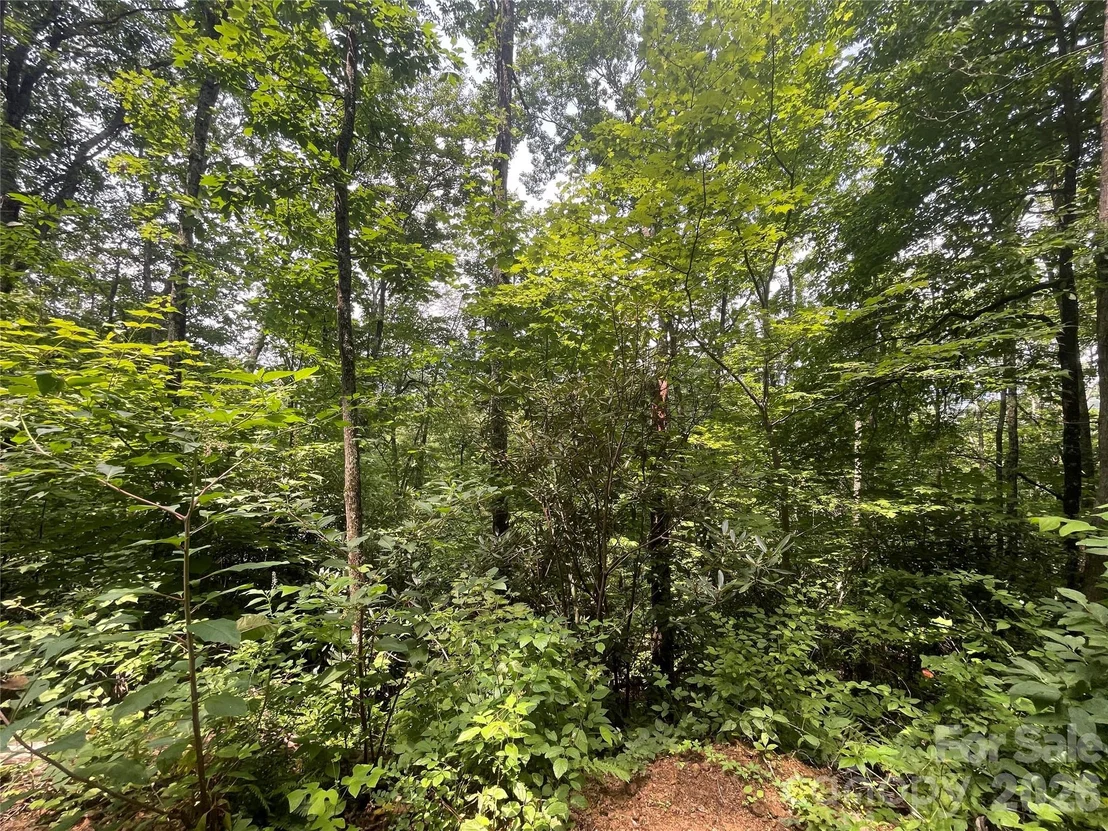 Photo of 242 Floyd Road
