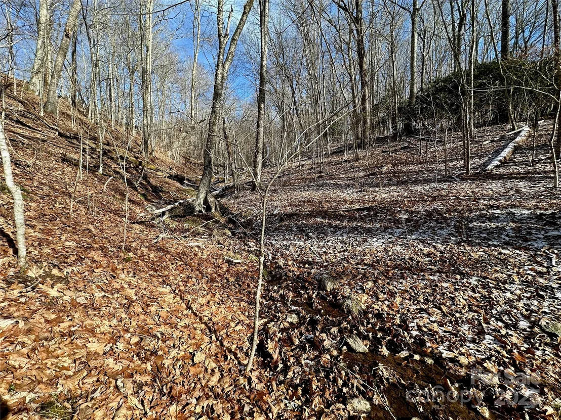 Photo of 149 Painter Road