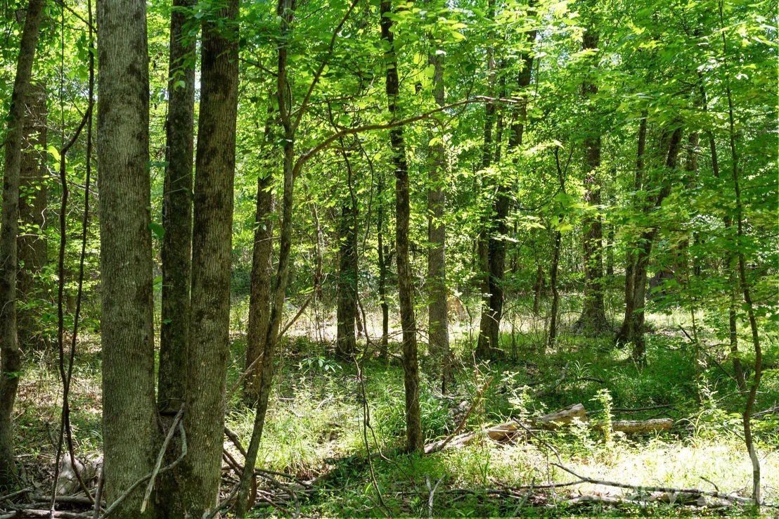 Photo of 0000 Ashford Ferry Road
