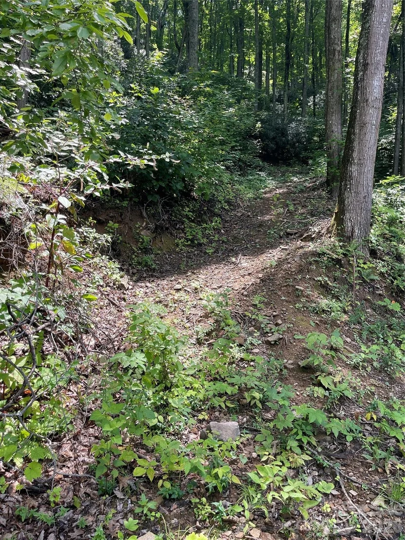 Photo of 242 Floyd Road