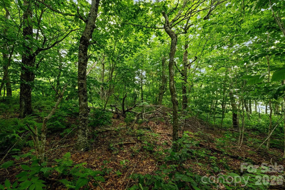 Photo of Unit 96 at Lot 96 Cloud Spring Drive