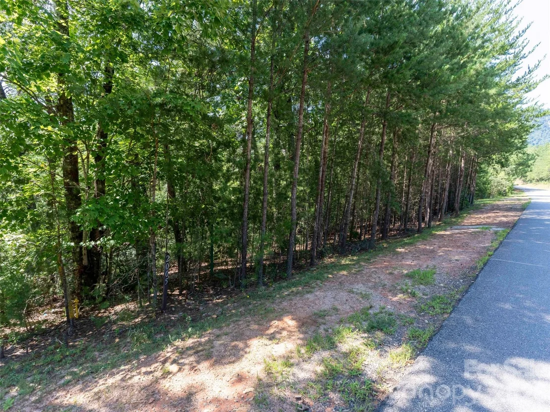 Photo of Lot 2006 Deep Gap Farm Road W