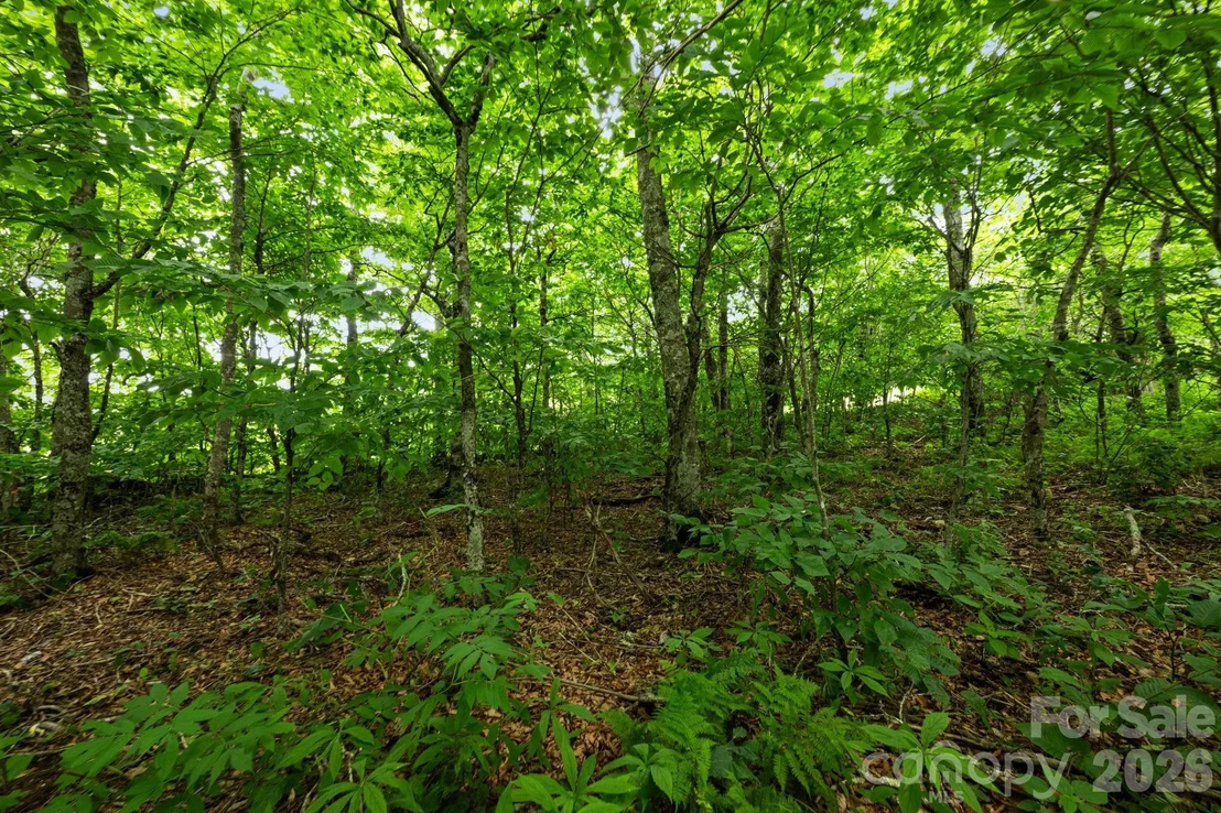 Photo of Unit 96 at Lot 96 Cloud Spring Drive