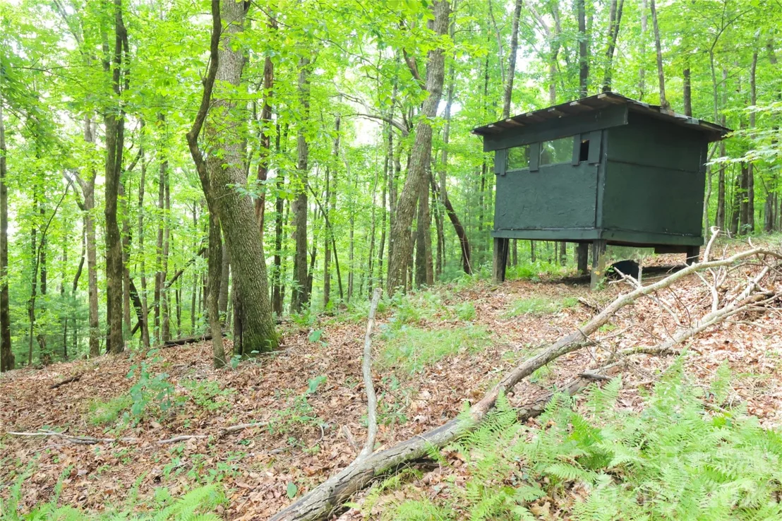 Photo of 141 Owl Haven Lane