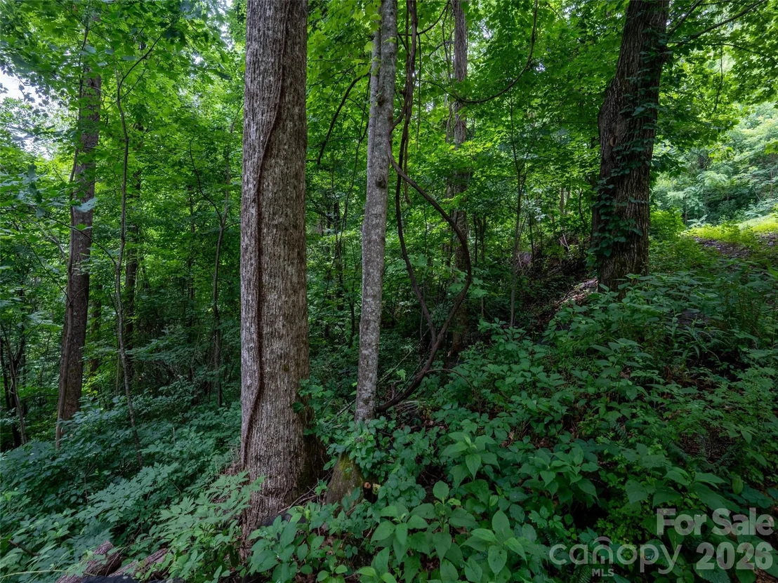 Photo of 236 Nottingham Drive