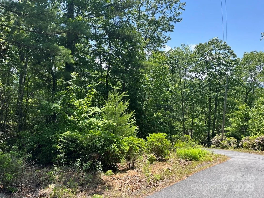 Photo of 0000 Humpback Mountain Road