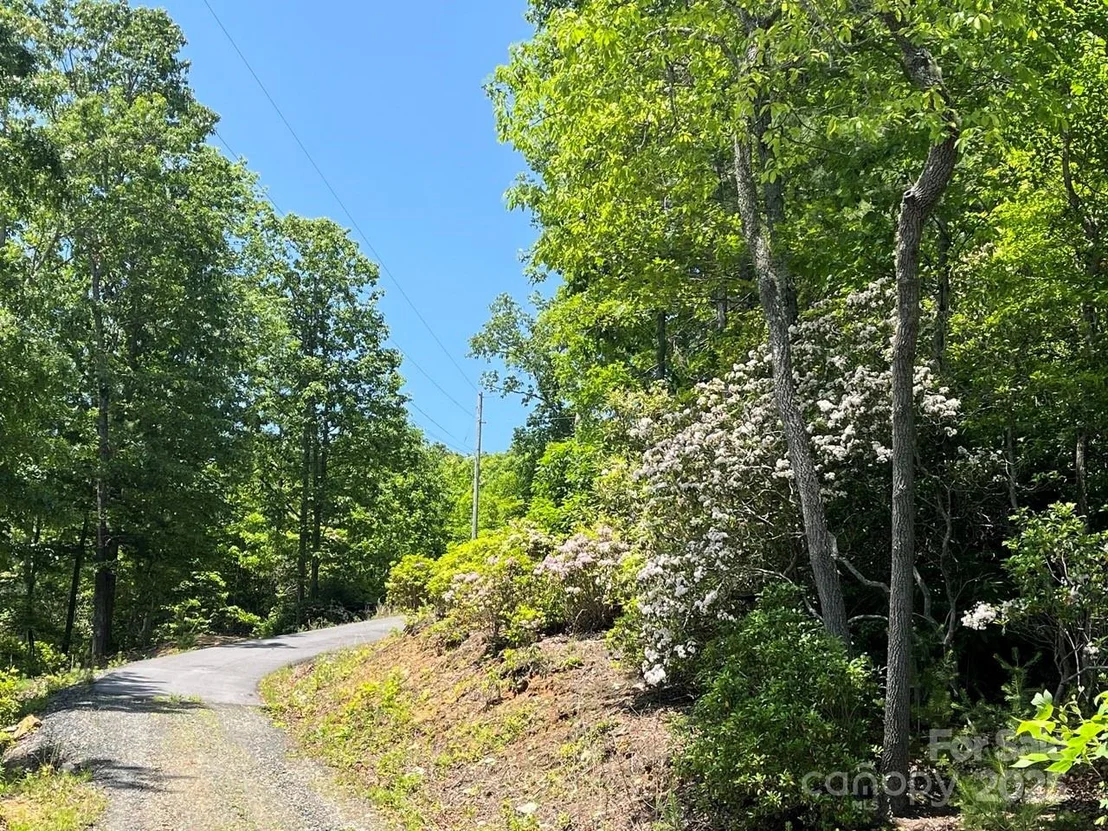 Photo of 0000 Humpback Mountain Road