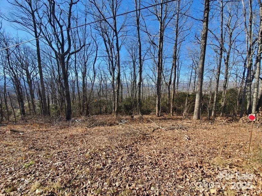 Photo of TBD Henredon Road