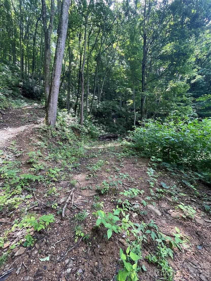Photo of 242 Floyd Road