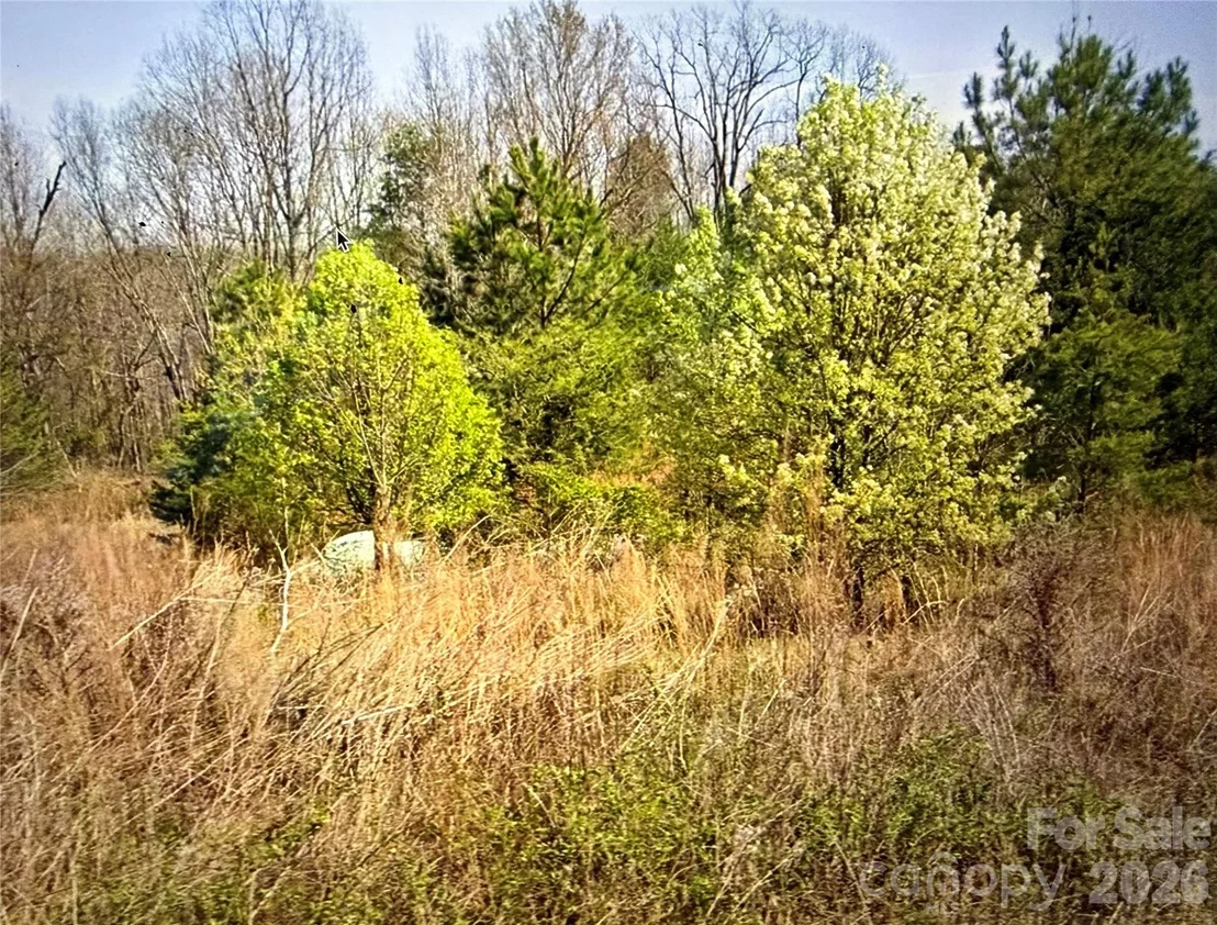 Photo of 218 Jesse Mountain Road