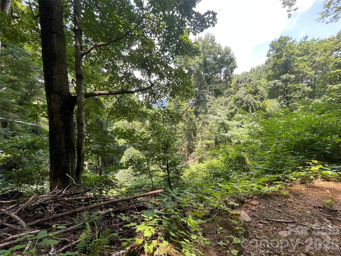 Photo of 242 Floyd Road