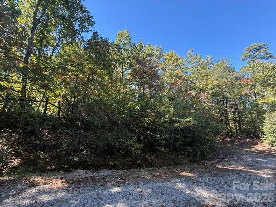 Photo of 160 Caledonia Road