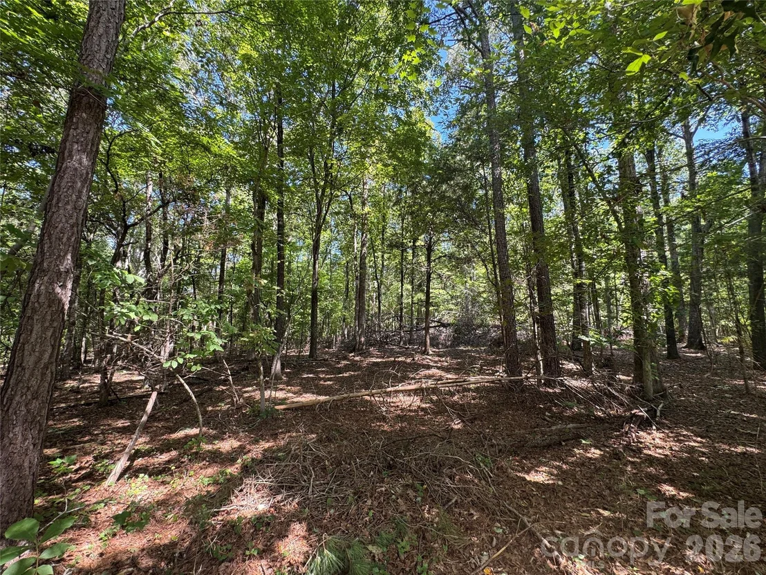 Photo of 2344 Rockholt Drive