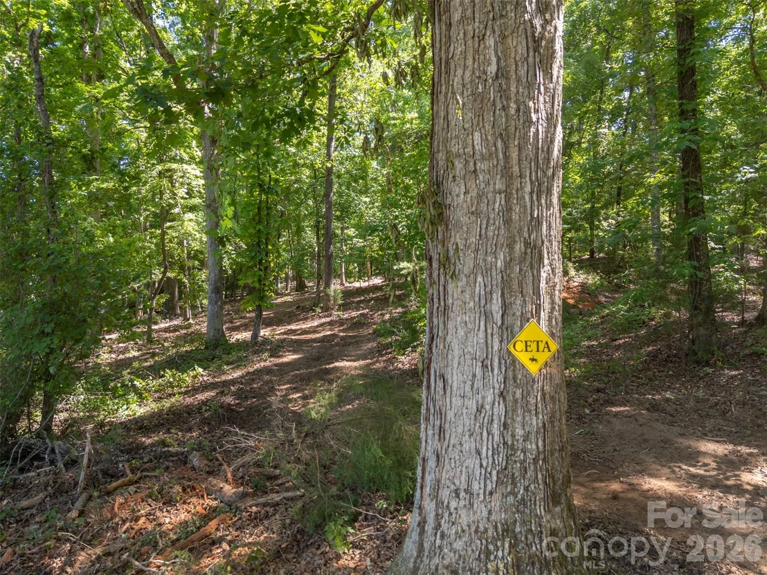 Photo of 00 Green Fields Lane
