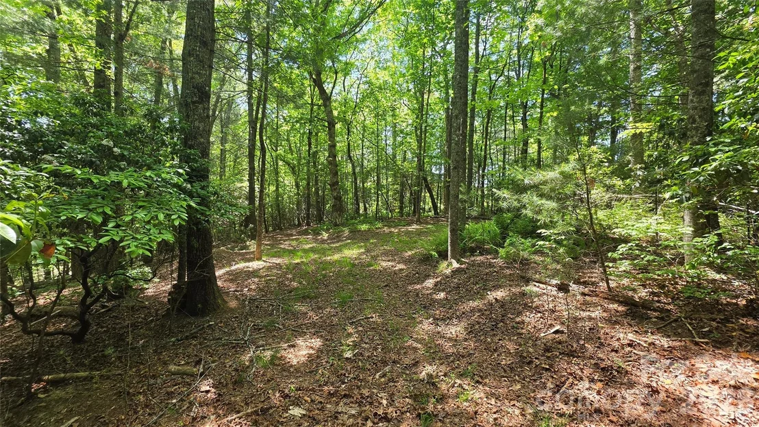 Photo of 262 Wingfield Way