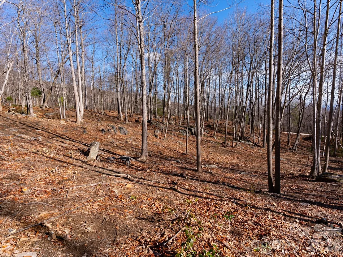 Photo of 220 Chesterfield Drive