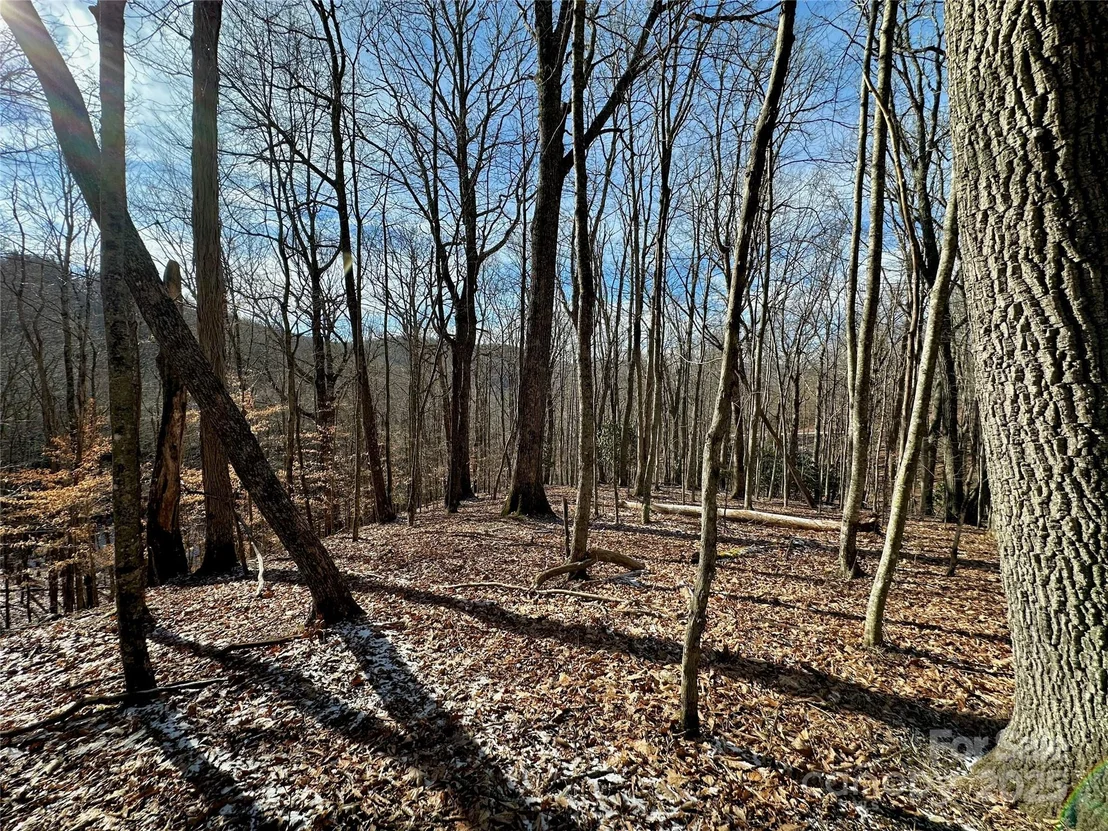Photo of 149 Painter Road