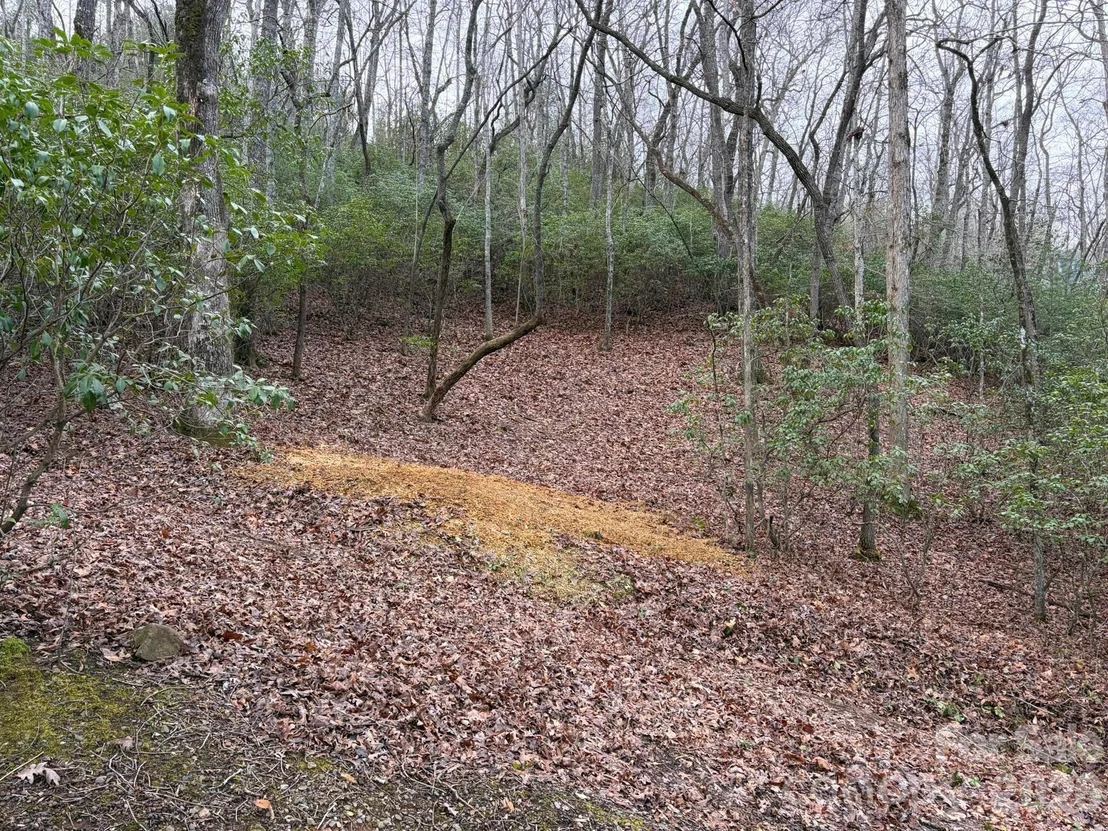 Photo of 0 Crescent Ridge