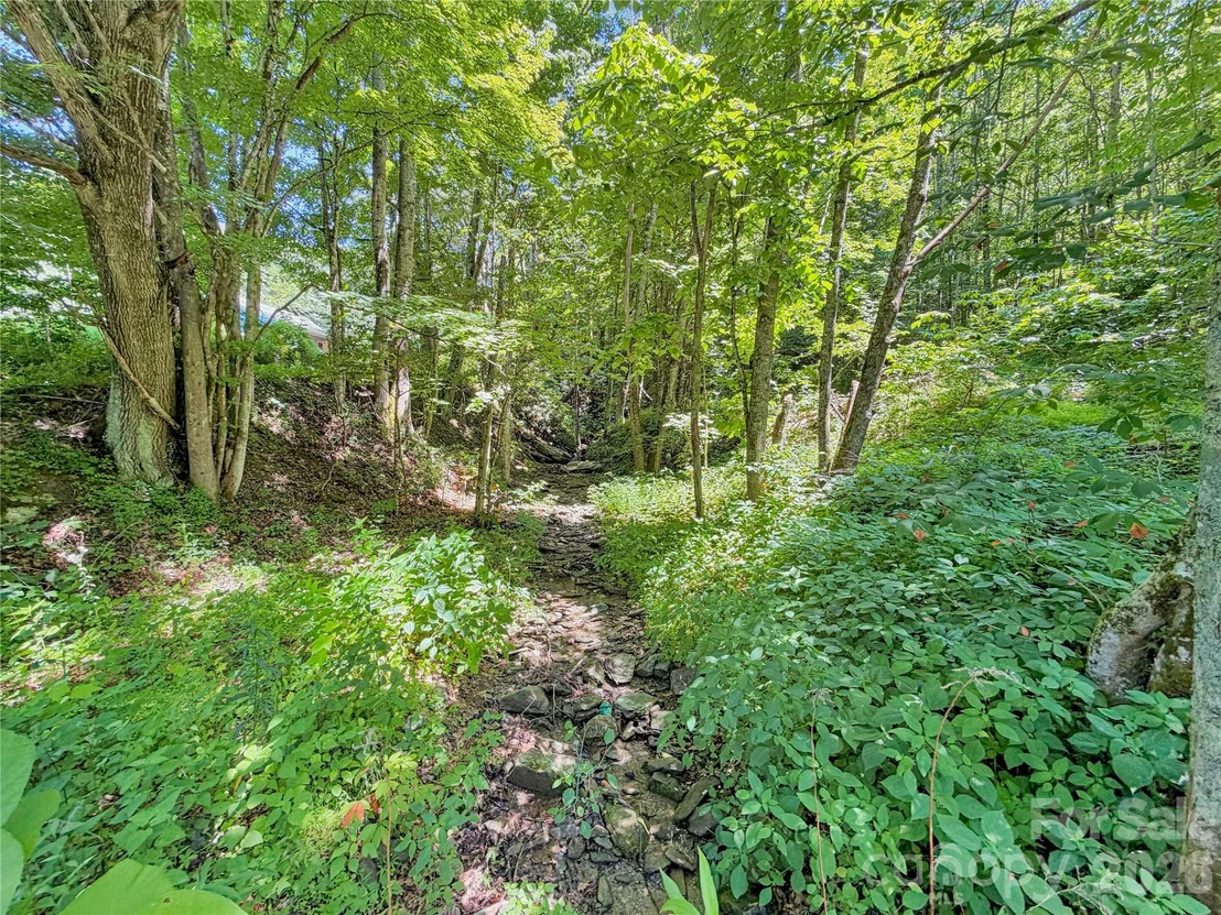 Photo of 321 Grays Shadow Lane