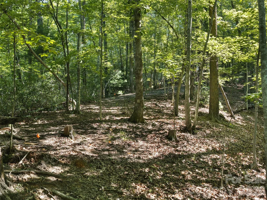 Photo of Lot #13 South Cove Road