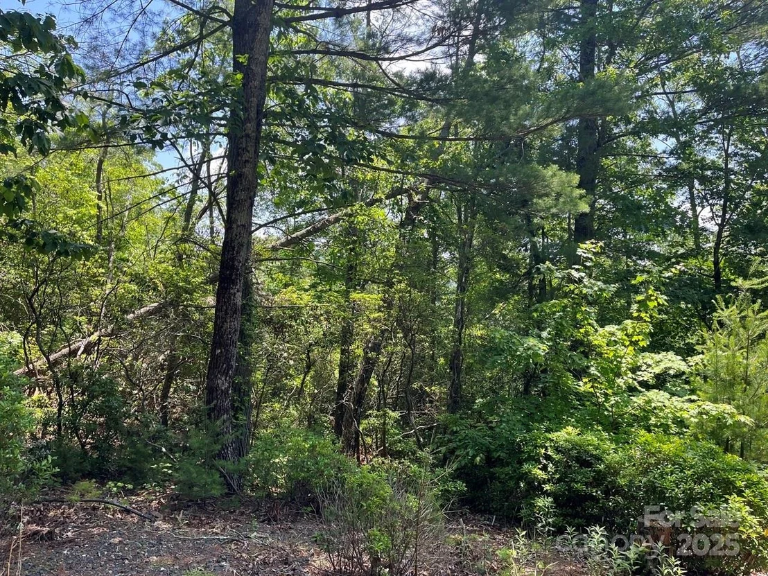 Photo of 0000 Humpback Mountain Road