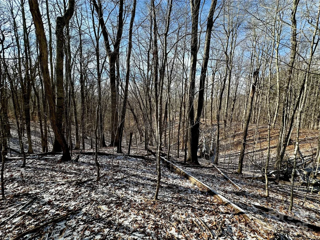 Photo of 149 Painter Road