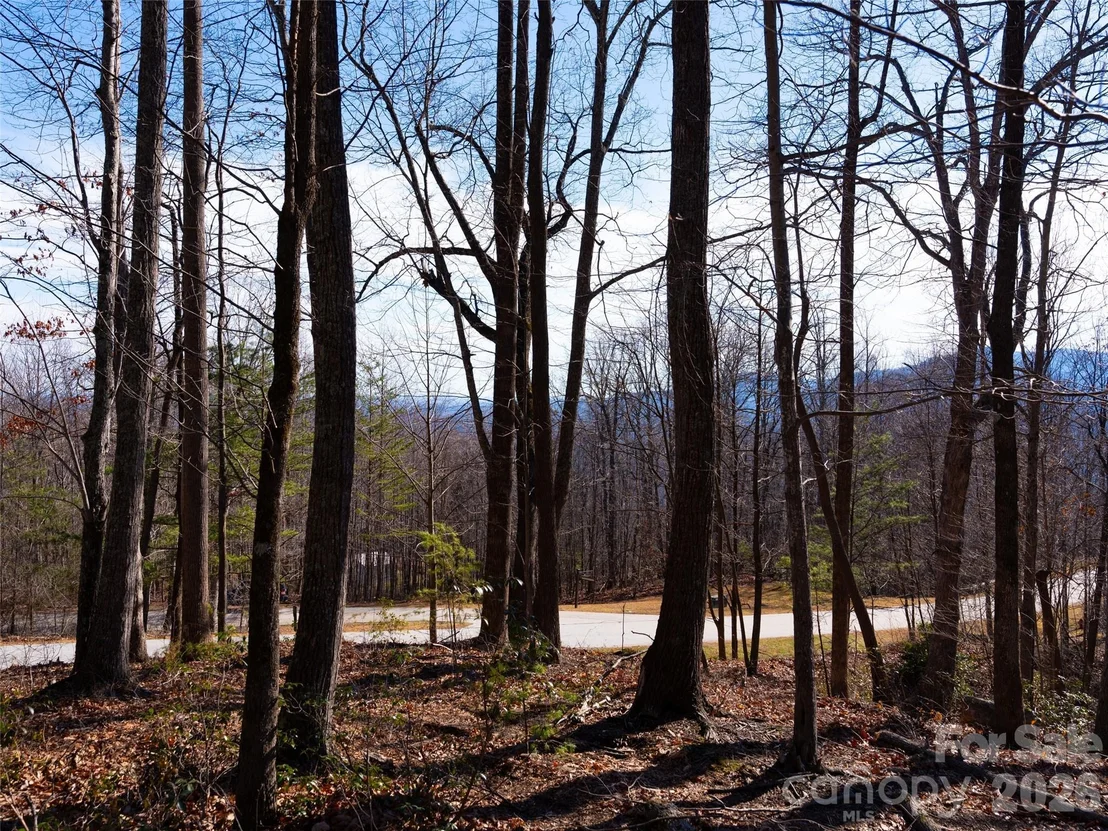 Photo of 220 Chesterfield Drive