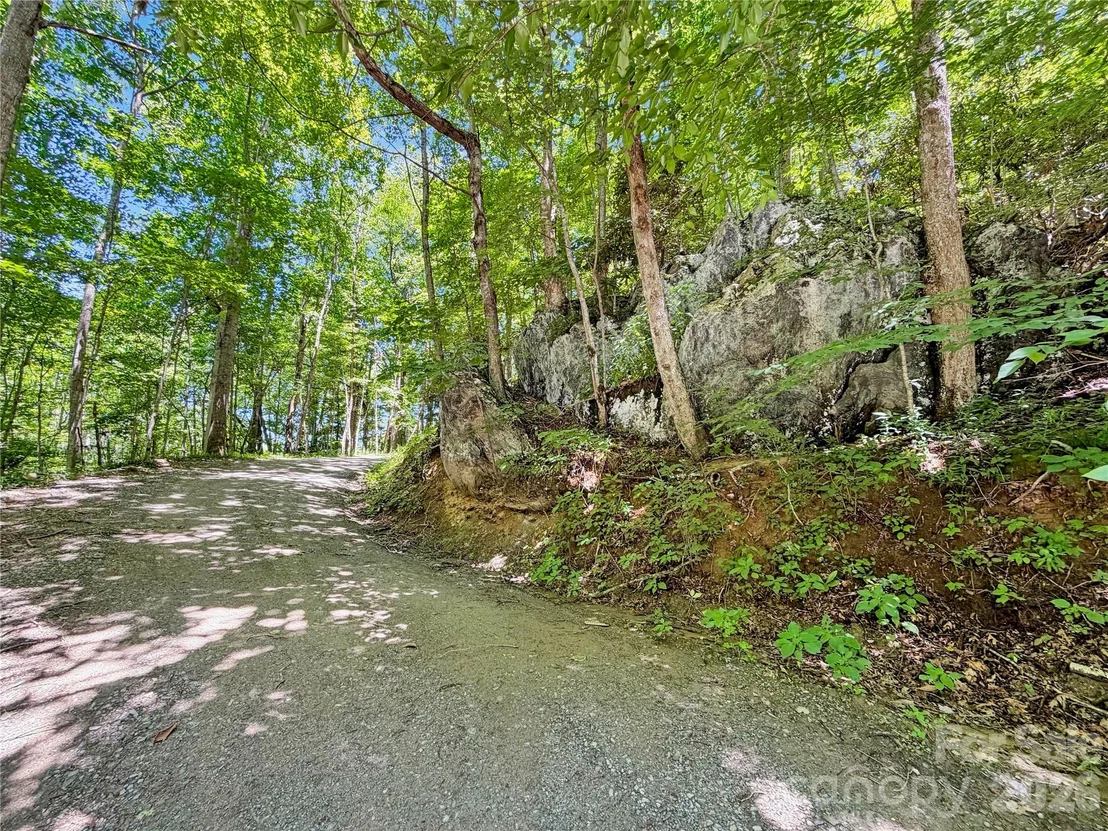 Photo of 321 Grays Shadow Lane